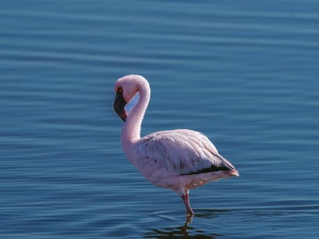 Walvis Bay
