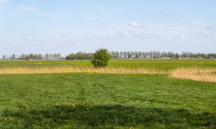 Siddeburen Retreats und Reisen