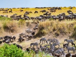 3 Day Masai Mara Luxurious Jeep Safari in Kenya