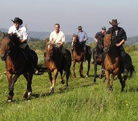 03 jours en stage d’équitation au cœur des montagnes centrales de Bohême, Litoměřice, République tchèque - Photo 1