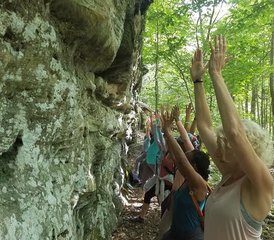 83 jours en stage de Tai Chi Easy : plongez dans la vitalité en retraite dans les montagnes Pocono, États-Unis - Photo 1