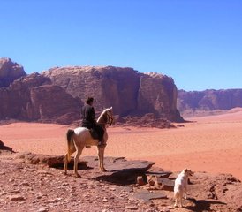 08 Day Petra Baidah and Wadi Rum Horse Riding Tour in Jordan - Photo 1