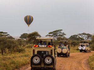 4 Day Northern Circuit Safari in Tanzania: Wildlife, Wonder, and Wild Beauty