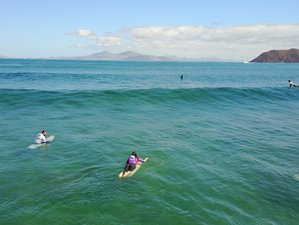 8 Day Surf Camp for Beginner and Intermediate Surfers in Fuerteventura, Spain