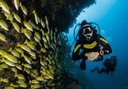 Surf and Diving Holidays Surf Camps