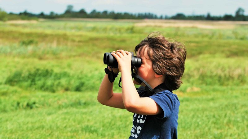 6 Day Horse Riding Tour with Stud Farm, Windmills, and Full Day at Military Boekelo in Netherlands