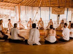 27 Day 200-Hour Hatha and Vinyasa Flow Yoga Teacher Training in Goa, India