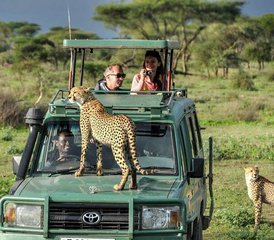 116 Tage Serengeti Kogatende Migration - Mara River Crossing Safari in Tansania - Photo 1