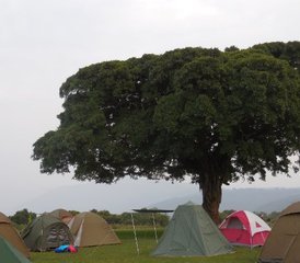 5 Tage Camping-Safari in Tansania: Erkundung des weltberühmten Serengeti-Nationalparks und des Ngorongoro-Kraters - Photo 4