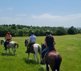 8 Tage Magische Galoppritte im Devetaki Plateau Reittour in Bulgarien - Photo 2
