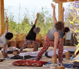 22 jours-200h en formation de professeur de yoga hybride : en ligne et en présentiel à Marrakech, Maroc - Photo 5