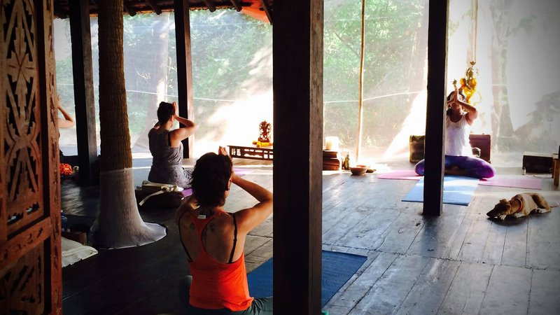 8 Day Vibrant Aliveness Immune Boost Retreat in Mandrem, Goa