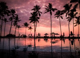 Negombo Retreats & Trips