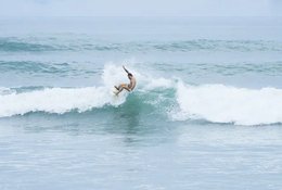 6 jours en stage de surf avec cours pour débutant et intermédiaire à la plage de Barra, Mozambique