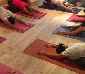 8 Tage Yoga und Detox Retreat in der Natur auf der Insel Noirmoutier, Frankreich - Photo 3