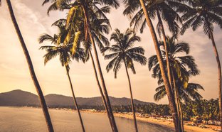 Agonda Retraites et Voyages