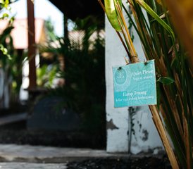 22 jours-200h en formation de professeur de yoga yin et yang à Nusa Lembongan, Bali, Indonésie - Photo 4