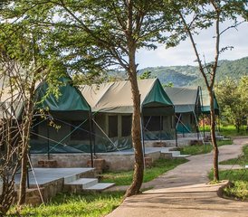 6 jours en stage de safari camping au Kenya - Photo 4