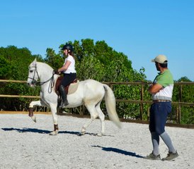6 Day Normal Dressage Holiday with Lusitano Horses in Alenquer, Centro Region, Portugal - Photo 4