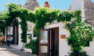 Puglia Retreats & Trips