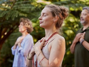 7 jours en stage Heart Flow de yoga à Majorque, Espagne