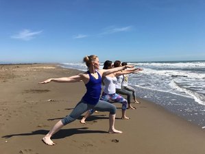 29 Day 300-Hour Yoga Therapy Training for 500-Hour Teacher Certification in Valencia, Spain