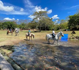 4-Daagse Privé Paardrijlessen: Paardrijvakantie in Guácima, Alajuela, Costa Rica - Photo 5