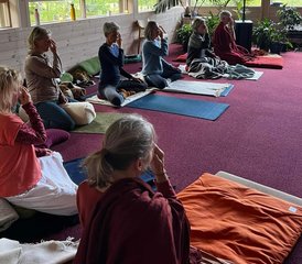 8 Day Dharma Mountain Yoga Retreat: A Journey through Chakra, Mantra, and Prana in Hedalen, Norway - Photo 5