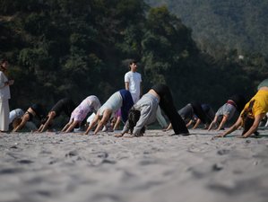 5 jours en stage de pause sacrée : yoga, pranayama et paix intérieure à Rishikesh, Inde