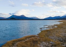 Yukon Retreats & Trips