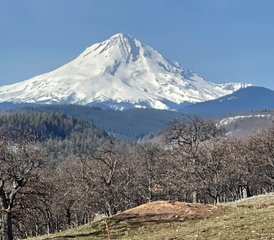 9 Daagse Ontspannende 50-Uur Restorative & Yin Yoga Docentenopleiding in Oregon, USA - Photo 5