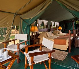 5 Day Maasai Mara Flying Safari in Kenya - Photo 5