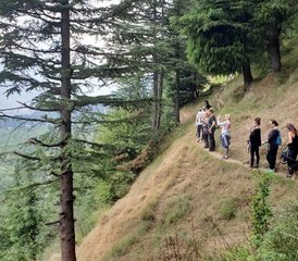 4-Daagse yoga De Retreat in India met hikes rond Manali, meditatie in de natuur en zelfgemaakt eten - Photo 3
