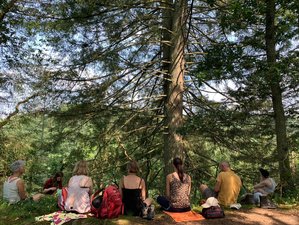 4-Daagse Natuur Retreat met Yoga en Hiken in de Belgische Ardennen