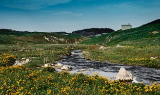Gemeinde Nikšić Retreats und Reisen