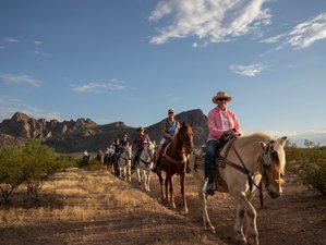 8 Day Ranch Stay and Horse Riding Holiday in Tucson, Arizona, USA