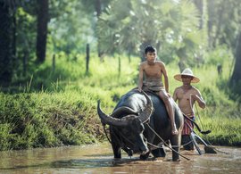 Laos Retreats und Reisen
