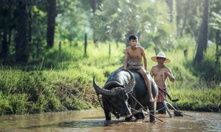 Laos Retraites en Reizen