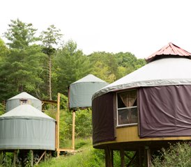 4 Tage Paar-Retreat mit Täglichem Yoga in Maryville, USA - Photo 5
