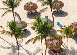 Aruba Retreats & Trips