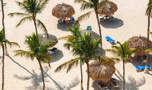 Aruba Retreats & Trips
