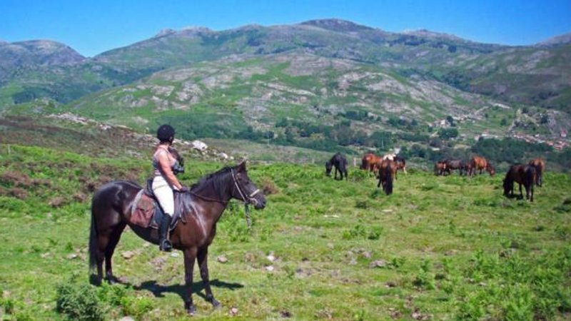 8 Day Adventurous Wild Horse Riding Tour in Alto Minho, Northern Portugal