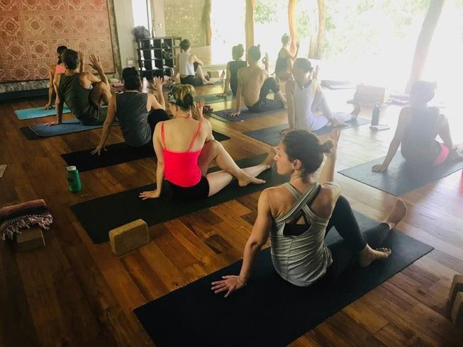 8 Days Jivamukti Yoga And Nature Retreat In Nosara Costa Rica Bookyogaretreats Com