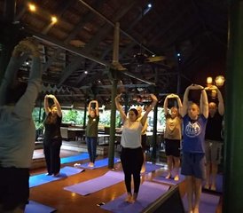 Zelfstudie 50-uur online Hatha multi-stijl yoga docentenopleiding met 10 live uren - Photo 5