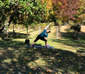 15 jours-200h en formation de professeur de yoga en plein air Wild and Rooted à New York, États-Unis - Photo 3