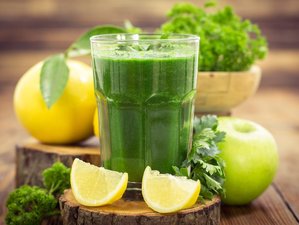 6 Day Annual Spring Fasting with Detox Juices, Yoga, and Meditation Practices in Canning, Argentina