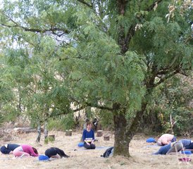 8-Daagse Yogavakantieweek: Yoga, Natuur en Rust in Zuid-Frankrijk - Photo 4