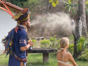 6 Day Healing and Spiritual Retreat in the Sierra Nevadas, Colombia w/ Ayahuasca, Yoga, & Meditation