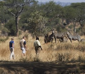 6-Daagse Wandel-Safari en Cultuur Tour in Tanzania - Photo 2
