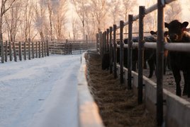 Ranch d'hiver Retraites et Voyages